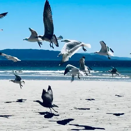 아파트 Nuevo A Pie De Playa