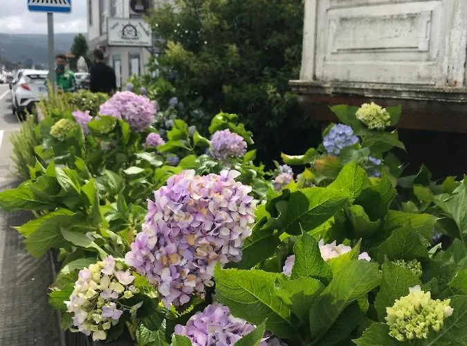 아파트 Nuevo A Pie De Playa *