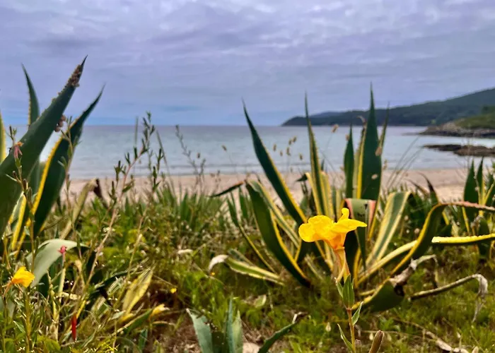 Nuevo A Pie De Playa 아파트