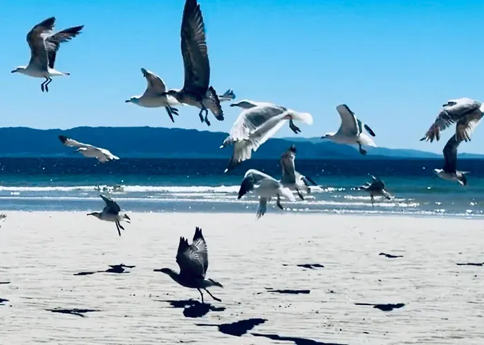 아파트 Nuevo A Pie De Playa