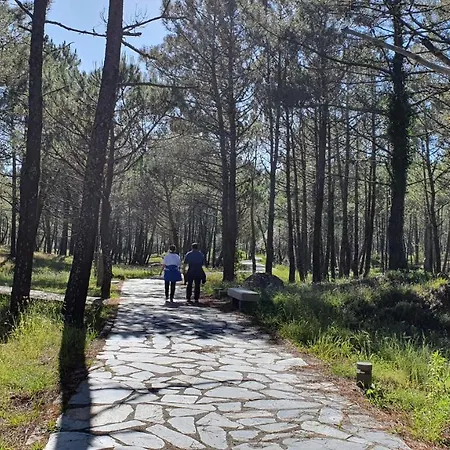 Nuevo A Pie De Playa *