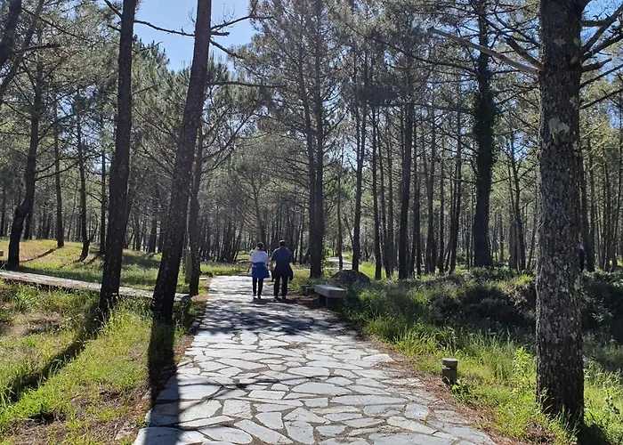 Nuevo A Pie De Playa *