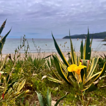 Nuevo A Pie De Playa アパート